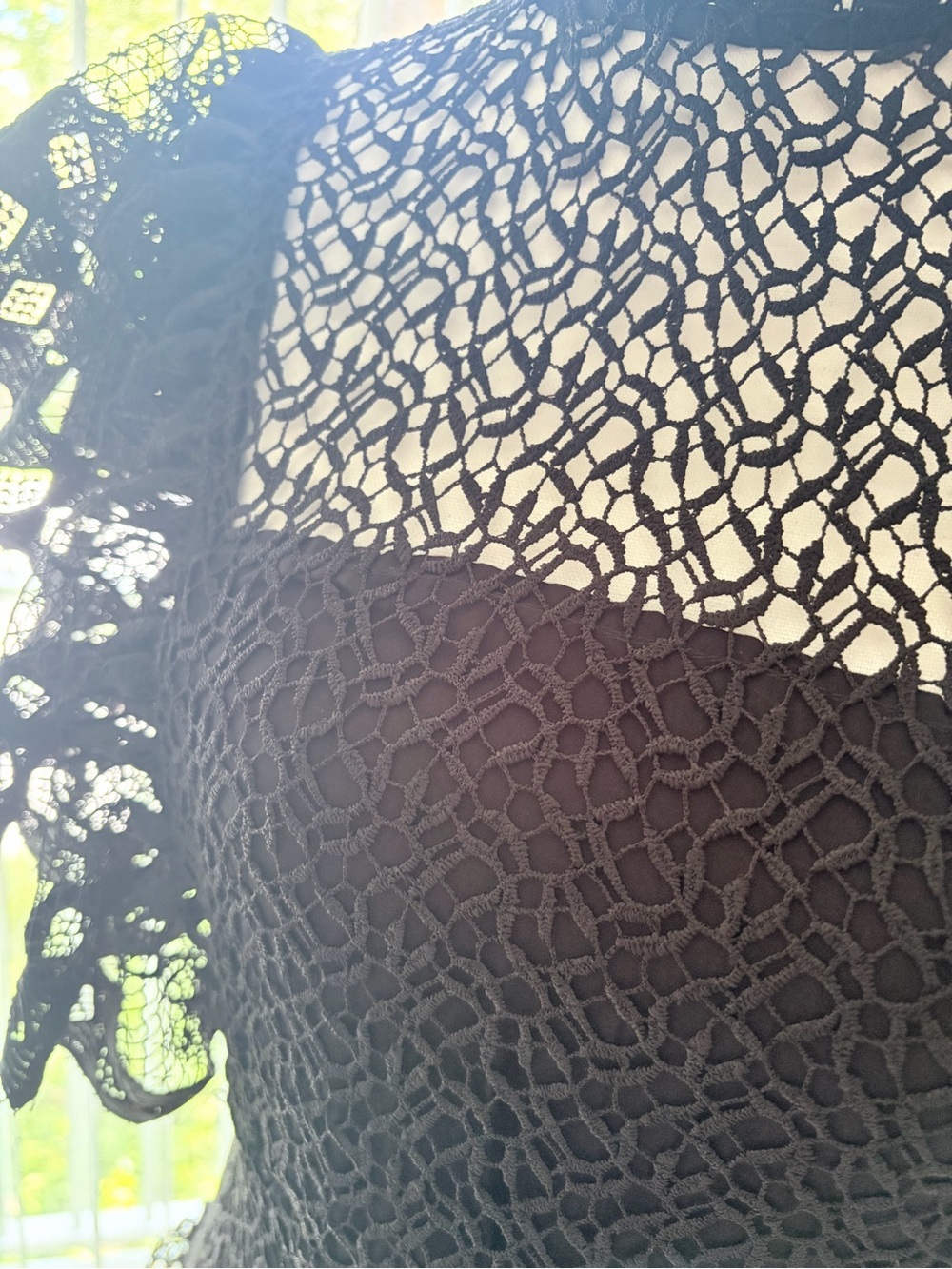 Anine Bing Black Lace Ruffle Sleeve Top - Picture 5 of 10